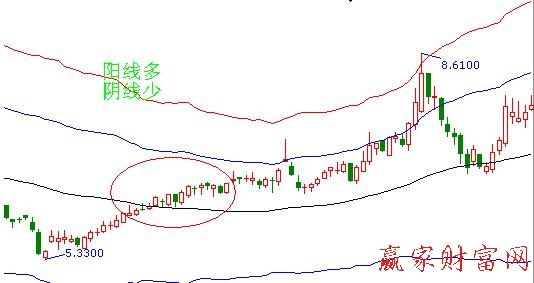 螞蟻上樹114315