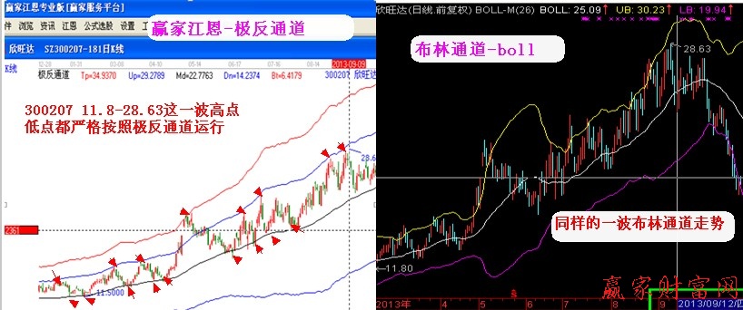 極反、布林