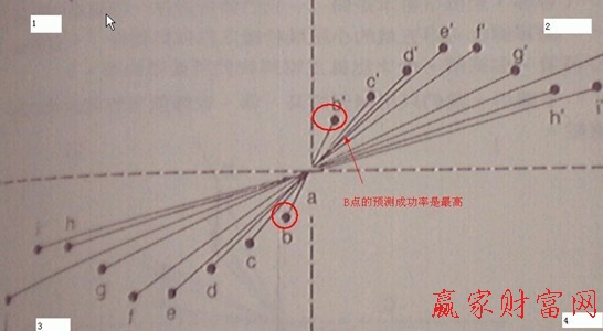 亞當(dāng)理論圖片