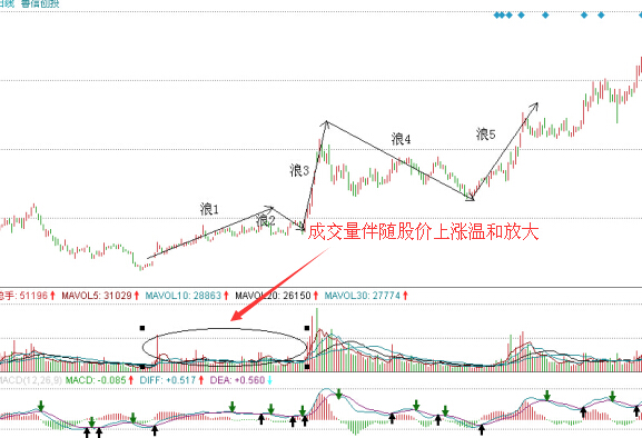 魯信高新浪1量?jī)r(jià)分析