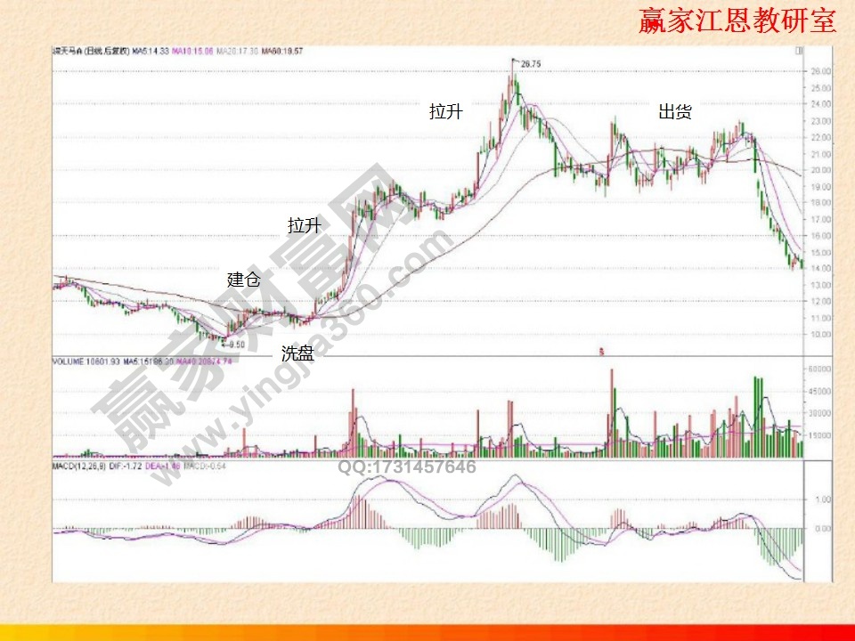 莊家運作的示例圖