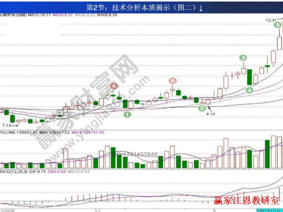 贏家江恩軟件分析股票大盤