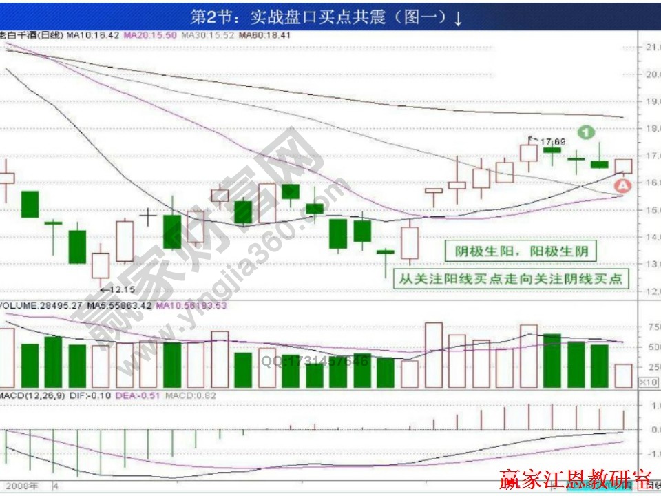 老白干酒實例分析