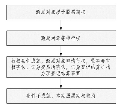 股票期權(quán)激勵(lì)方案實(shí)施流程