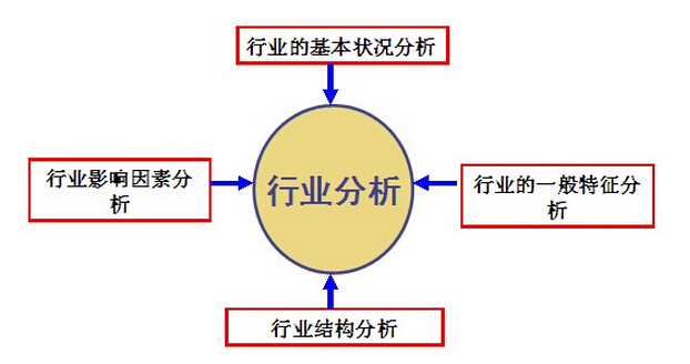 公司分析