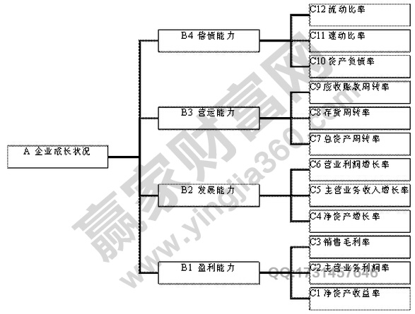 企業(yè)成長(zhǎng)狀況