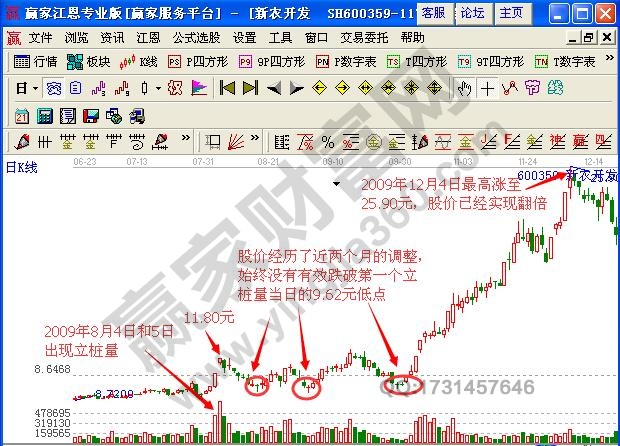 圖2 新農(nóng)開發(fā)立樁量示例圖.jpg