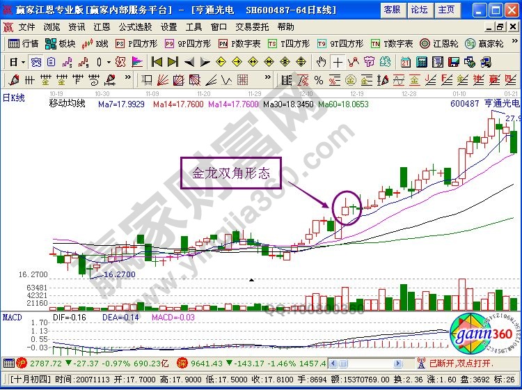 金龍雙角形態(tài)的講解