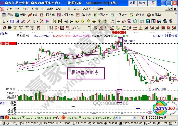 晨鐘暮鼓形態(tài)鑒賞