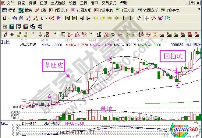 草肚皮形態(tài)