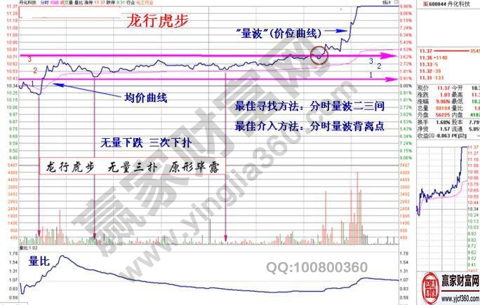 龍行虎步