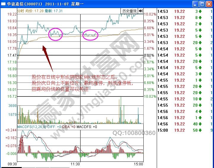 華誼嘉信分時圖