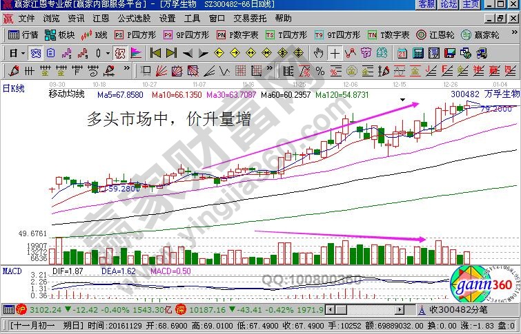 多頭市場價升量增