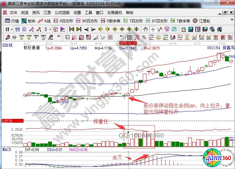 報(bào)喜鳥極反通道