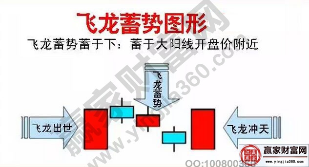 飛龍蓄勢蓄于下