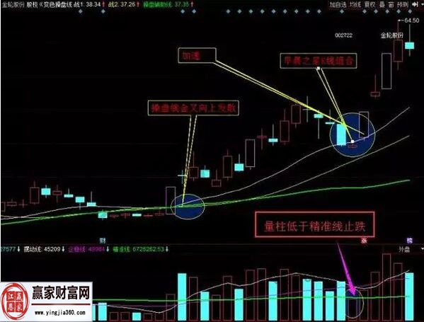 金輪股份走勢圖