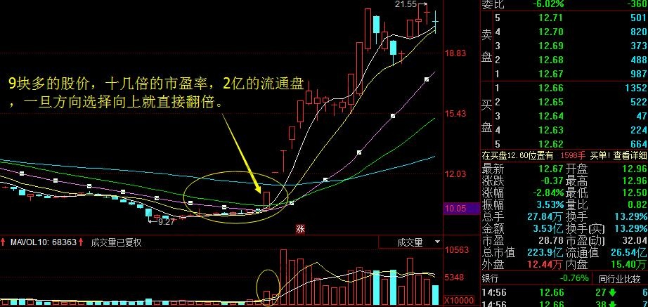 價格第盤子小的個股案例