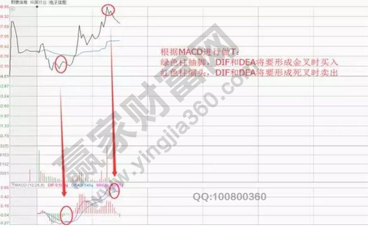 熙菱信息分時圖.jpg